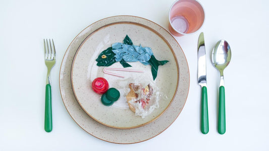 Microplasticos, una dieta inexperada - Deep Dreams